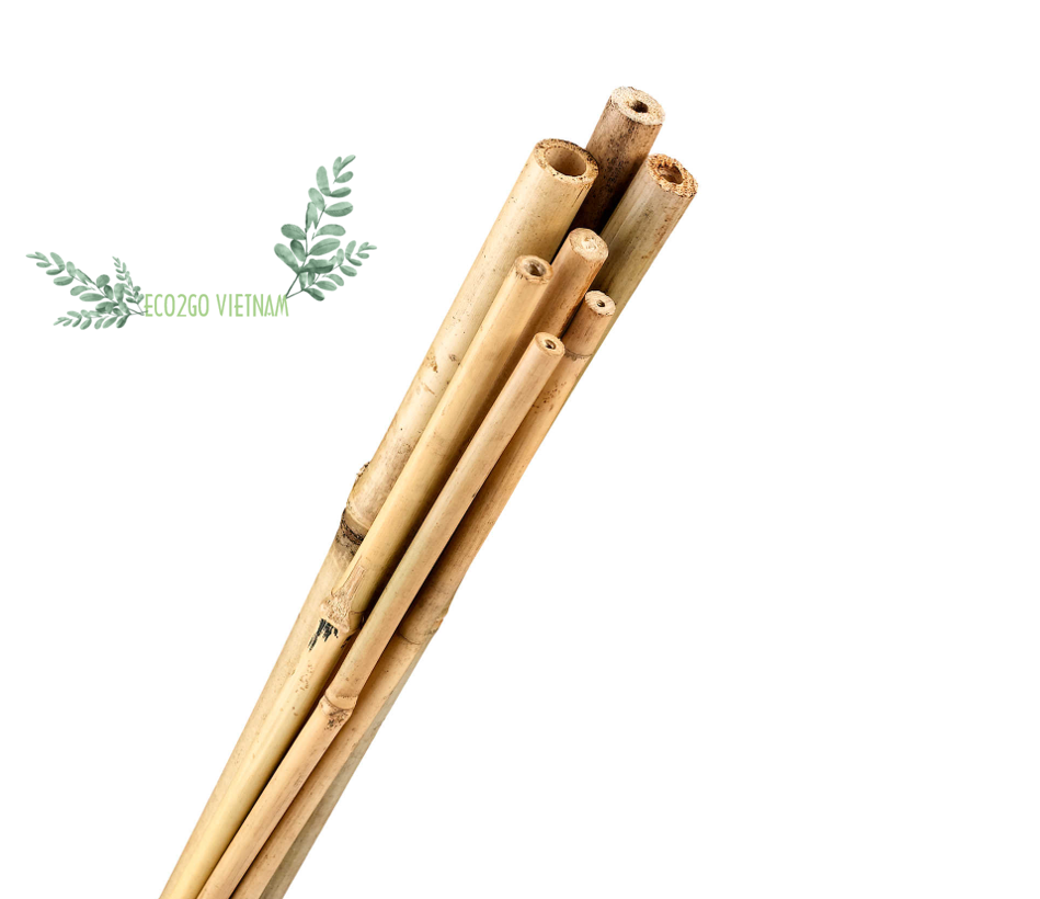 Sustainable and Natural Bamboo Poles For Construction Vietnam With High Quality For Using at Construction, Agriculture