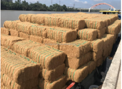 Manufacturers Coconut Fiber Bale For Export High Quality from Eco2go/Jute fiber coconut fiber / Bulk coconut fiber bale Vietnam