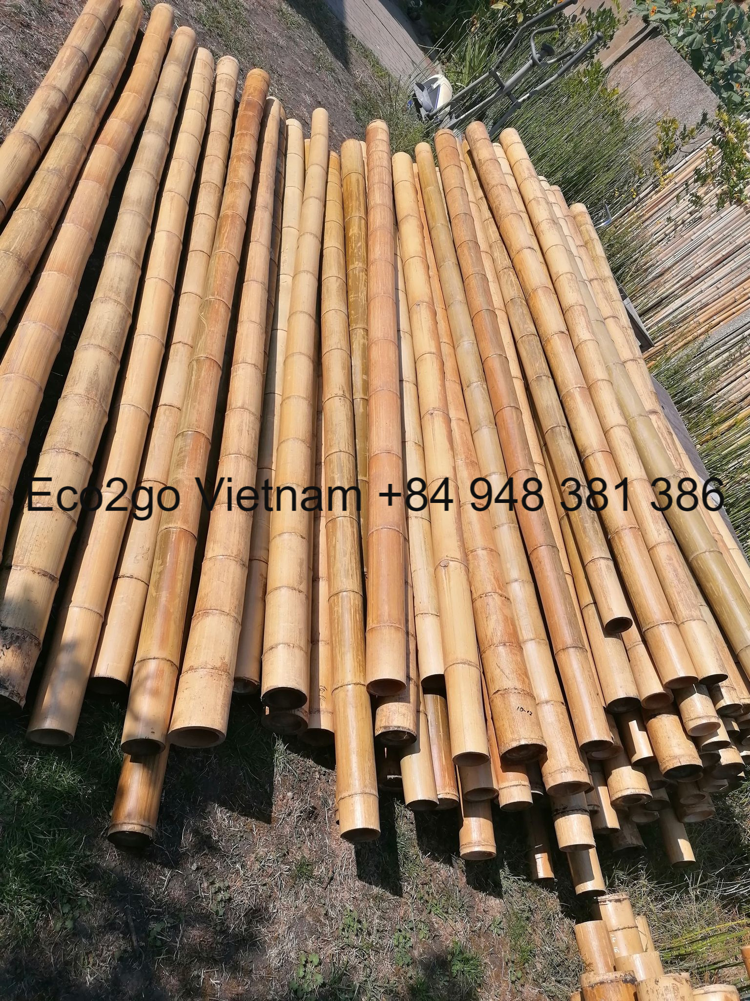 Eco Friendly Biodegradable Bamboo Poles/ Bamboo Poles For Sale/ Bamboo Poles Cheap Made In Vietnam