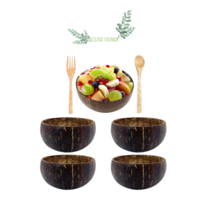 Eco Friendly Custom Size Noodle Soup Mixed Serving Salad Bowl Made From Coconut Shell From Vietnam