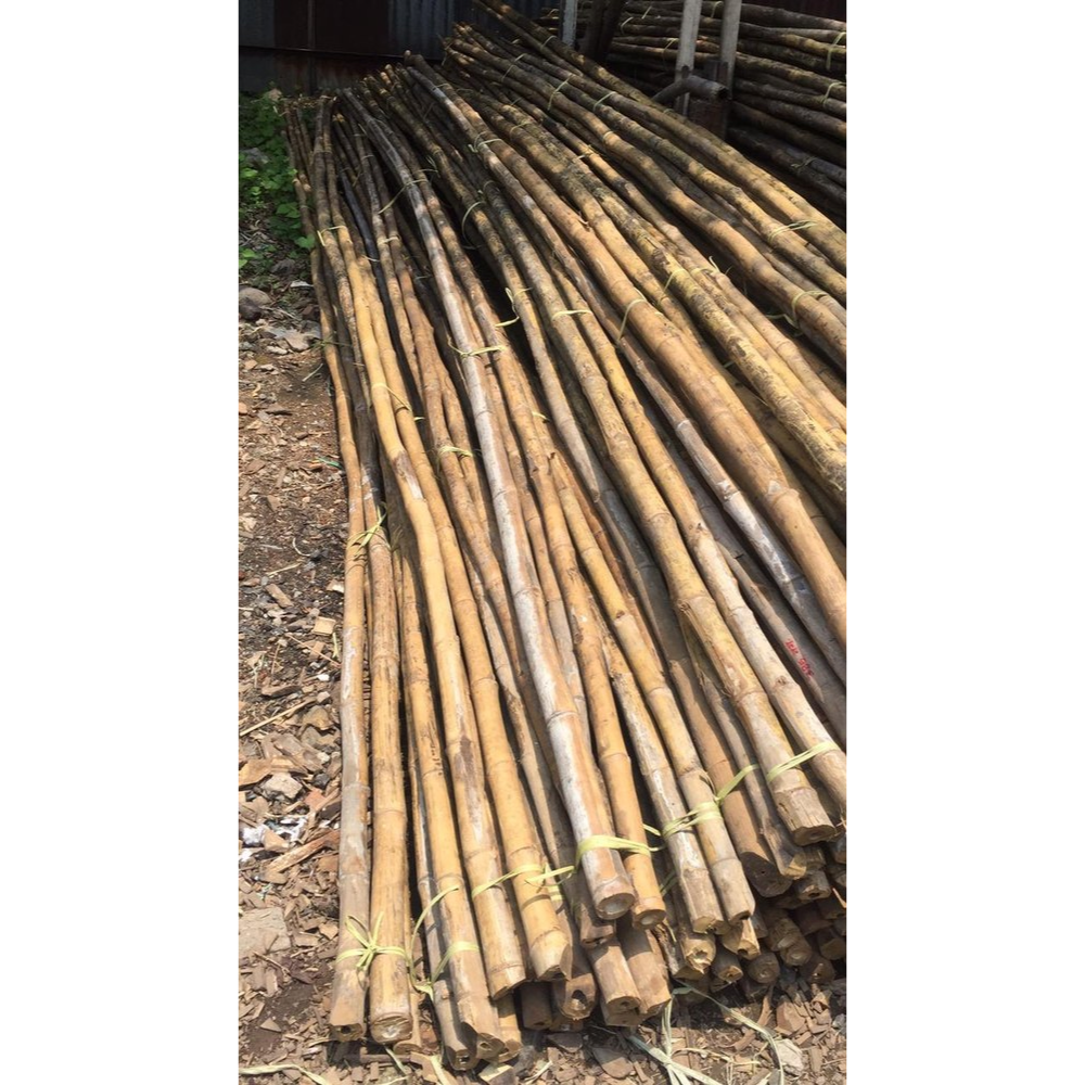 Hot Seller! Hot Trending! Bamboo Stick For Plant/ Strong Heavy Duty Professional Bamboo Plant Support Bamboo Canes/stakes/pole