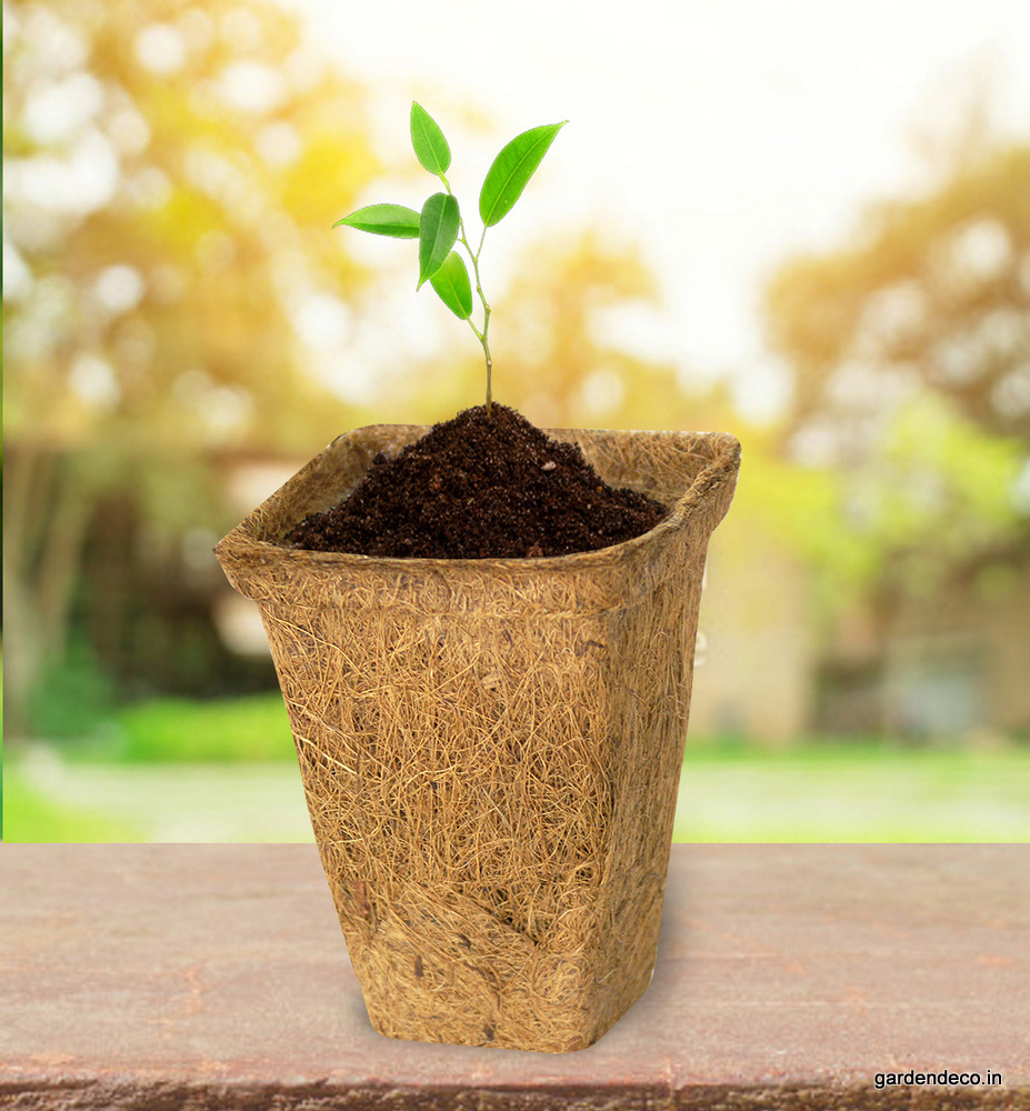 Wholesale 2024 100% Natural Biodegradable Coconut fiber pot/ Coconut fiber coir plant pot for planting decorating your garden