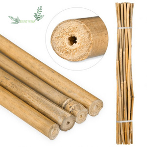 Hot Seller and Hot Trending 2024 Natural Raw Bamboo Stake/ Bamboo Cane/ Bamboo Pole With High Quality From Vietnam