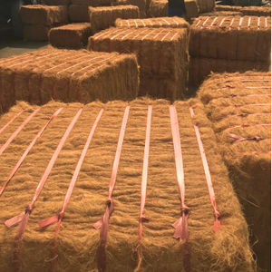 Manufacturers Coconut Fiber Bale For Export High Quality from Eco2go/Jute fiber coconut fiber / Bulk coconut fiber bale Vietnam