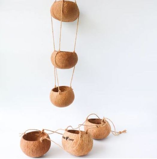 New Pure Organic Coconut Shell Plant Pot/ Coconut Shell Planter Pot With Hanging With Laser Logo Export by Eco2go