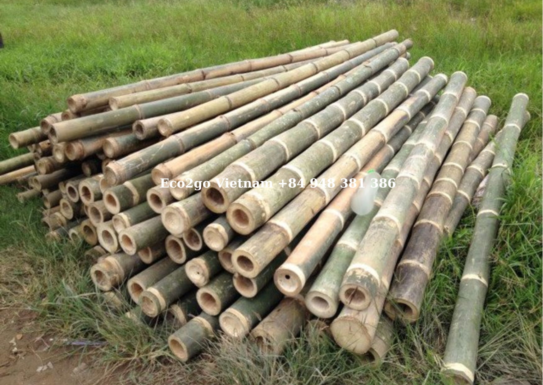 Eco Friendly Biodegradable Bamboo Poles/ Bamboo Poles For Sale/ Bamboo Poles Cheap Made In Vietnam