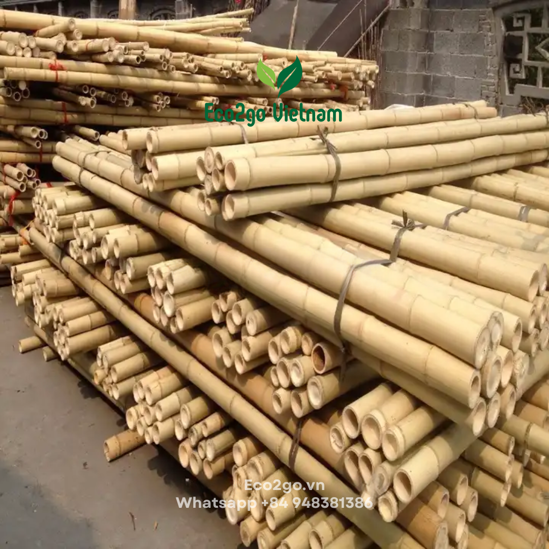 100% Nature Dry Straight Rattan Bamboo Pole For wholesale/Bamboo Pole Material For Garden/ Bamboo poles for tomatoes