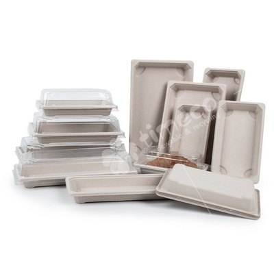 100% Biodegradable disposable plate Sushi Box with lid bagasse pulp molded plate with lid food plate paper tray