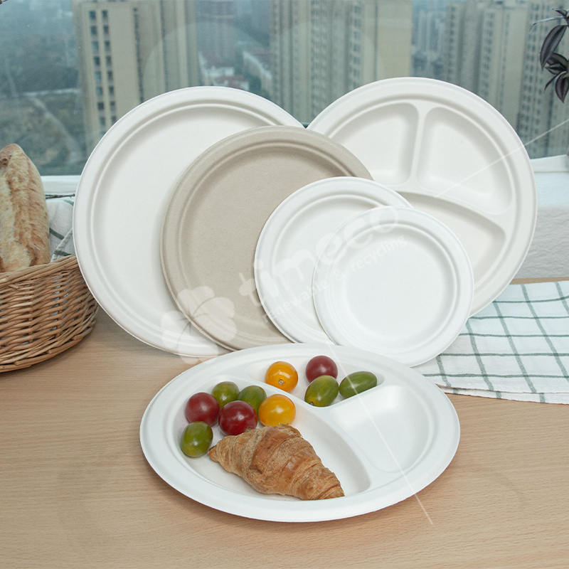 Wholesale Tableware Disposable Bagasse Plate 12 Inch Large Disposable Round Plate Bagasse Biodegradable Paper Plate wholesale