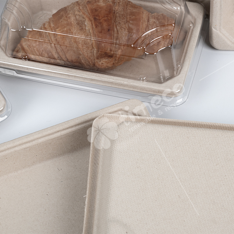 100% Biodegradable disposable plate Sushi Box with lid bagasse pulp molded plate with lid food plate paper tray