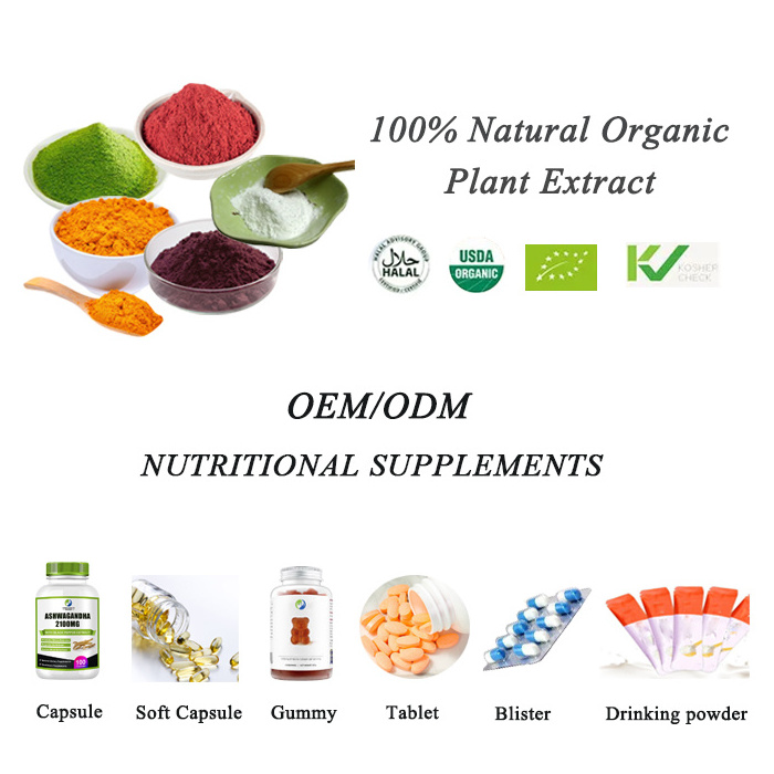 OEM Pure reishi mushroom extract capsule Reishi Spore Ganoderma lucidum Organic reishi capsules