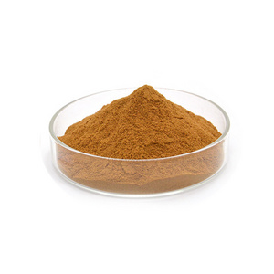 Top Quality miracle berry extract powder 20:1 pure miracle fruit extract