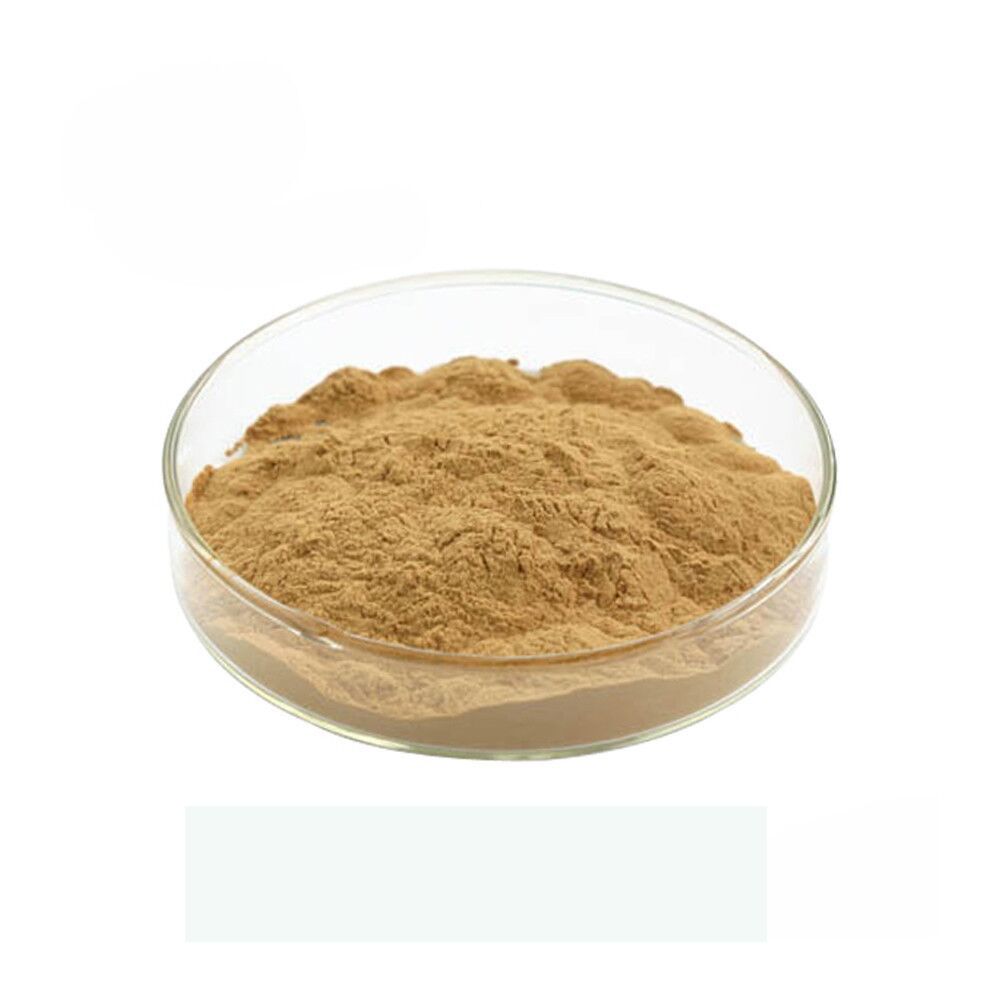 wholesale price Rose Hips Fruit Extract powder 50% Rosehip extract