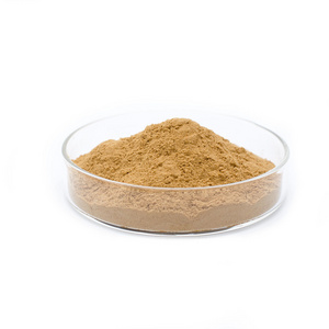 High purity Natural Shiitake powder mushroom extract 30% 90% lentinan powder