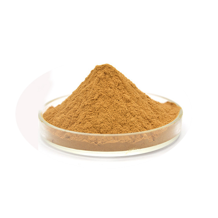 wholesale price Rose Hips Fruit Extract powder 50% Rosehip extract