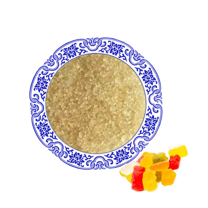 High Quality Best price fish gelatin powder CAS 9000-70-8 bulk gelatinous food grade gelatin