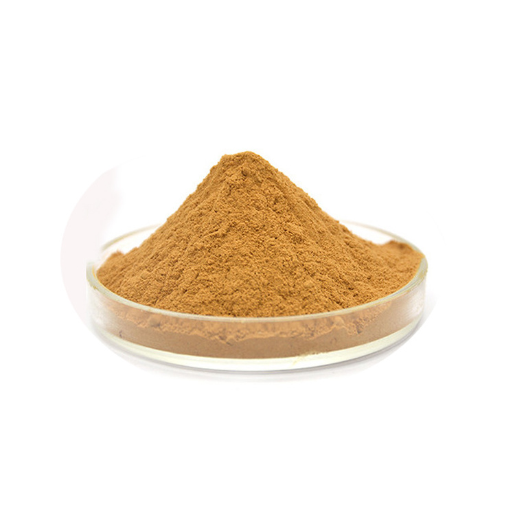 High purity Natural Shiitake powder mushroom extract 30% 90% lentinan powder