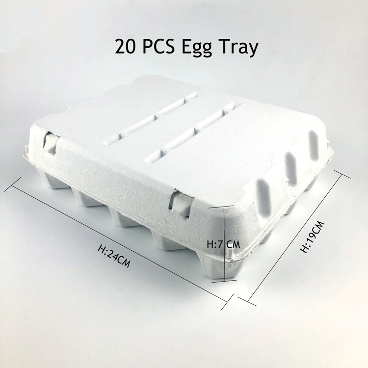 Quail Egg Carton 20 Egg Tray Carton Wholesale 12 Holes Paper Egg Tray Packaging 30 Cells