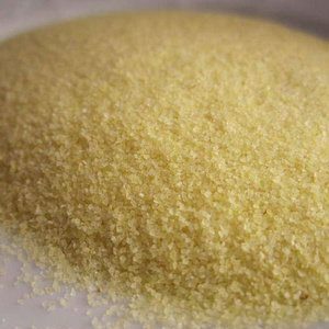 Powder Durum Semolina  Flour for sale