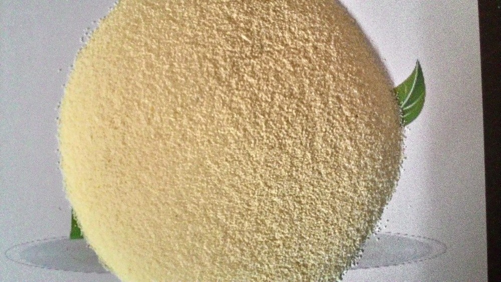 Powder Durum Semolina  Flour for sale