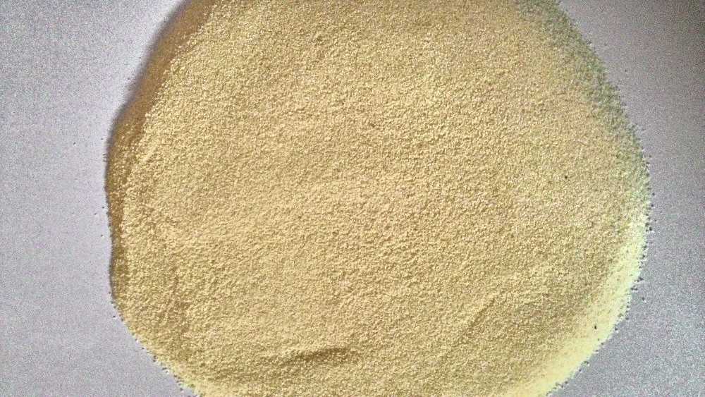 Powder Durum Semolina  Flour for sale