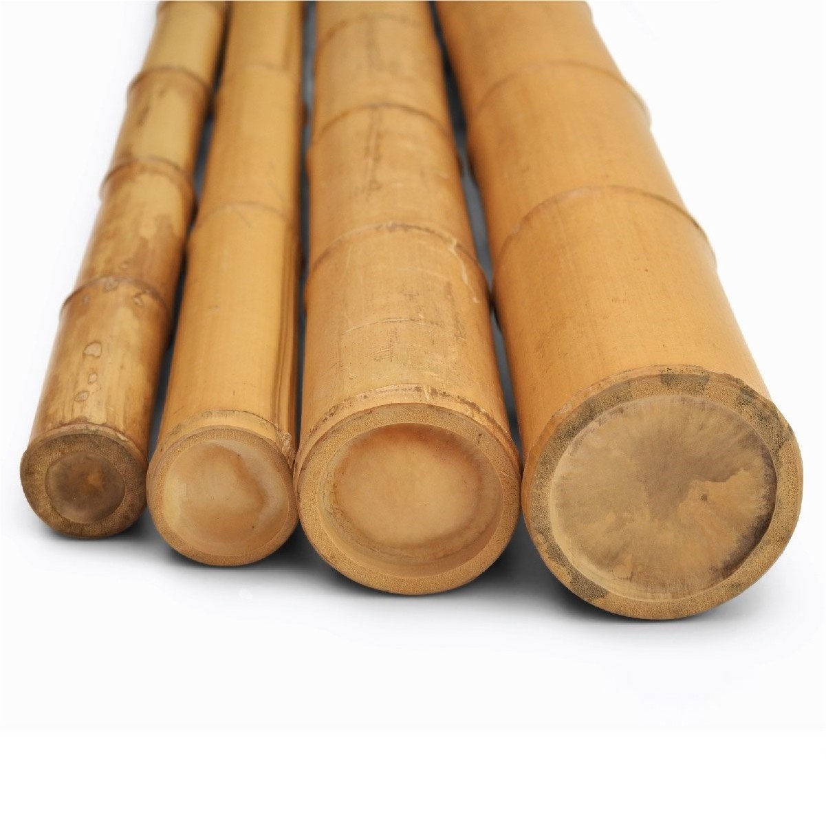 Solid treated fumigated natural rattan bamboo cane cgardening farming construction agriculture pole stick canes