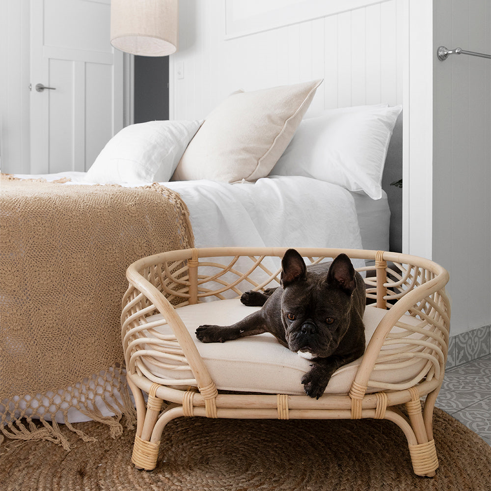 Fancy wicker cat bed unique style cute pet furniture rattan pet beds with comfortable mattress customization accept