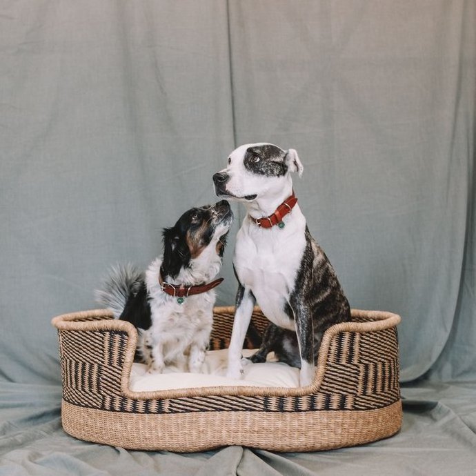 Natural woven eco friendly seagrass pet bed baskets with mattress included