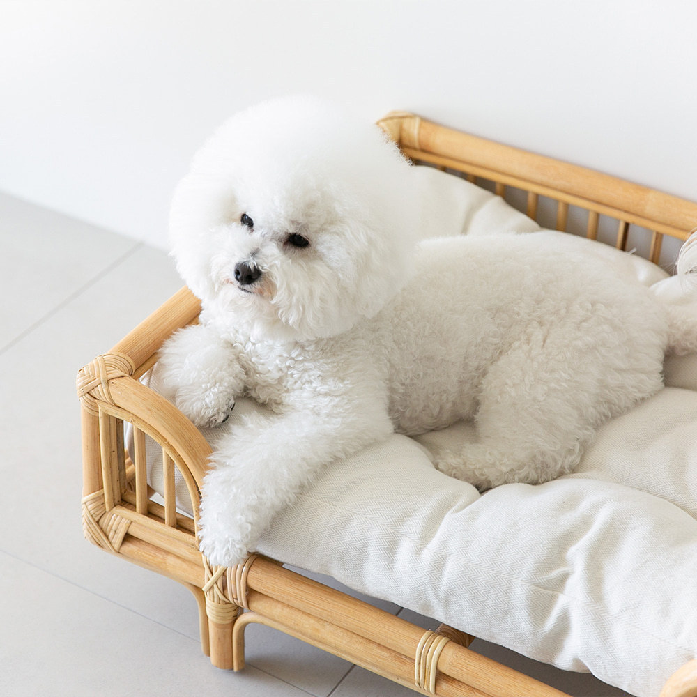 Luxury cat pet dog bed made natural high quality rattan wood furniture bed for pets Amazon best choice