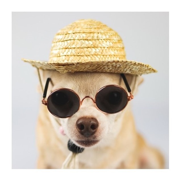 Competitive price small hats for dogs cats pets funny pet accessories supply excellent quality OEM accepted