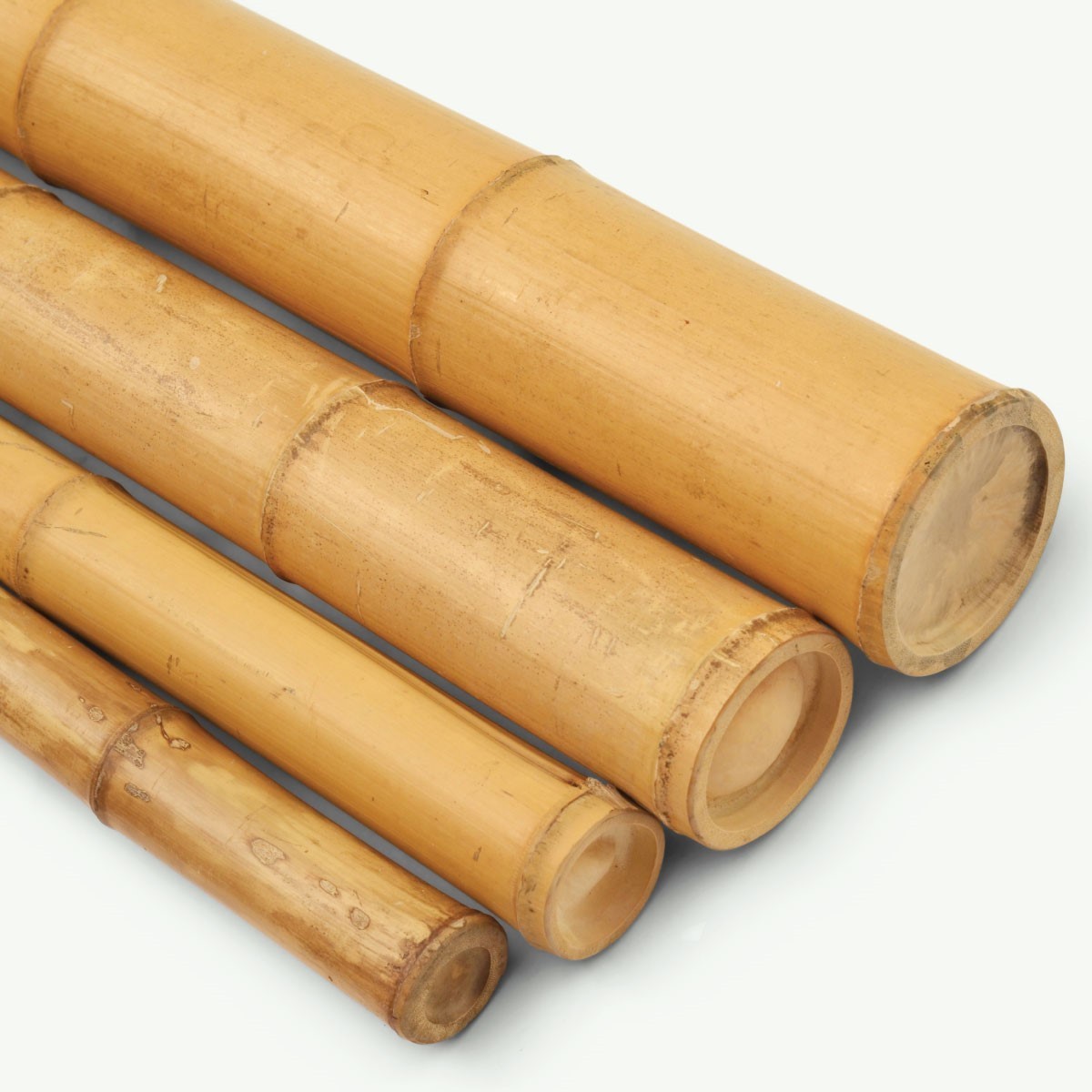 Solid treated fumigated natural rattan bamboo cane cgardening farming construction agriculture pole stick canes