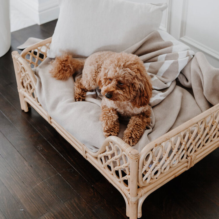 Rattan dog beds bamboo pet bed wholesale cheap price