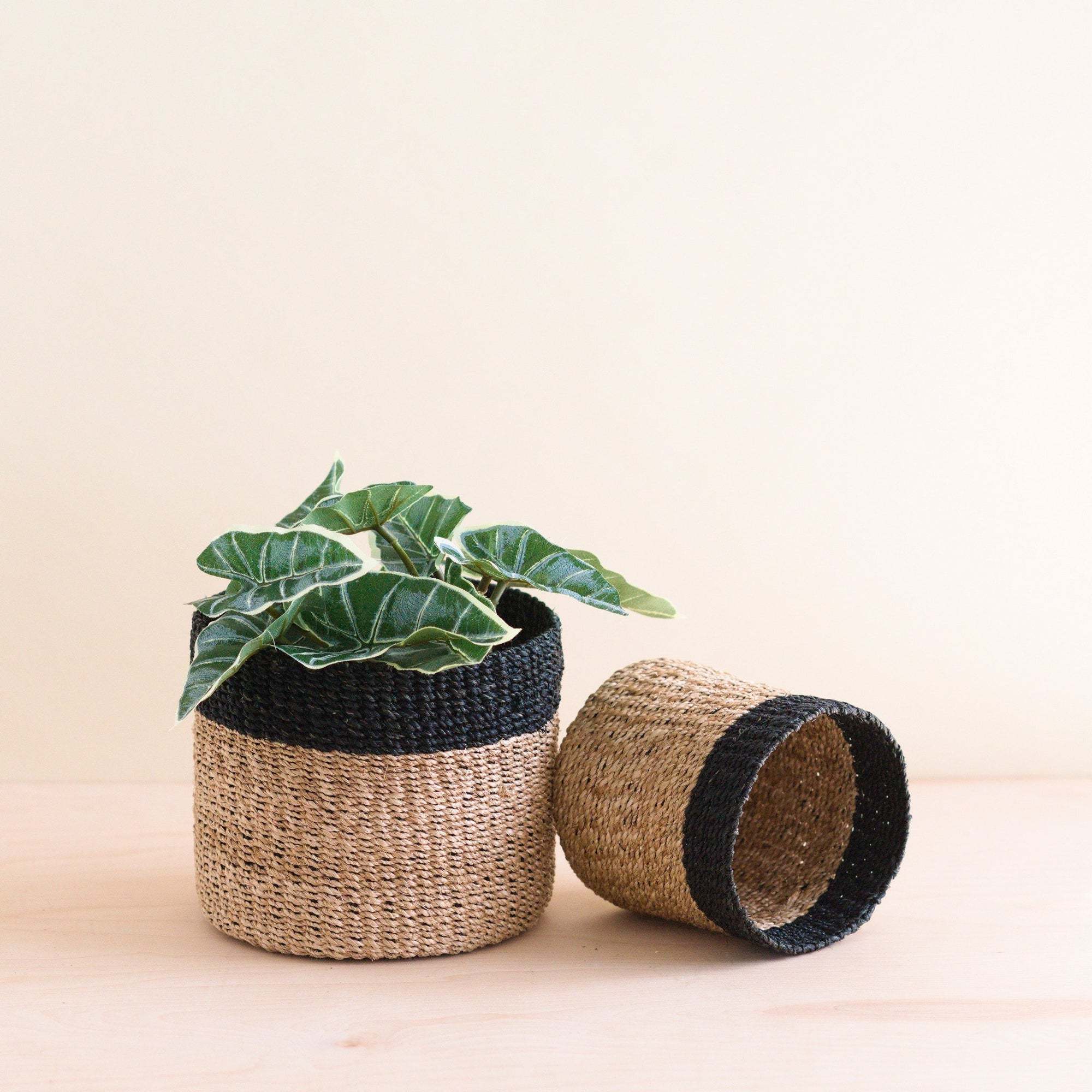 Wholesale best price eco-friendly straw raffia round plant pot seagrass woven planter pots garden decor floor vase