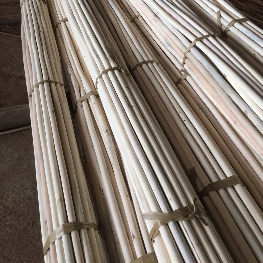 Premium quality Vietnam exporter polished rattan manau sticks natural raw rattan cane poles competitive price