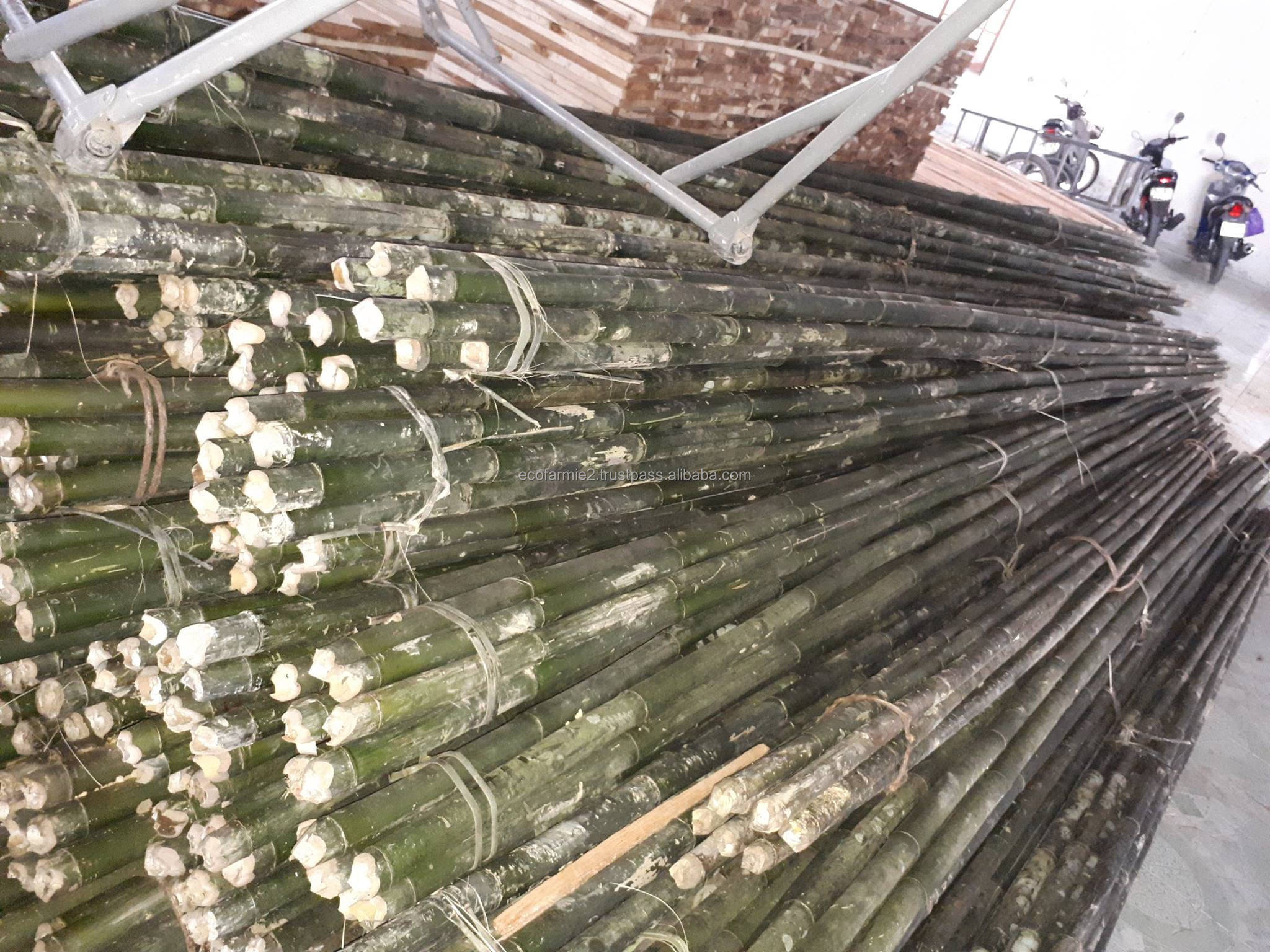 Vietnam high quality bamboo poles for construction natural gardening bamboo pole sticks cheapest price