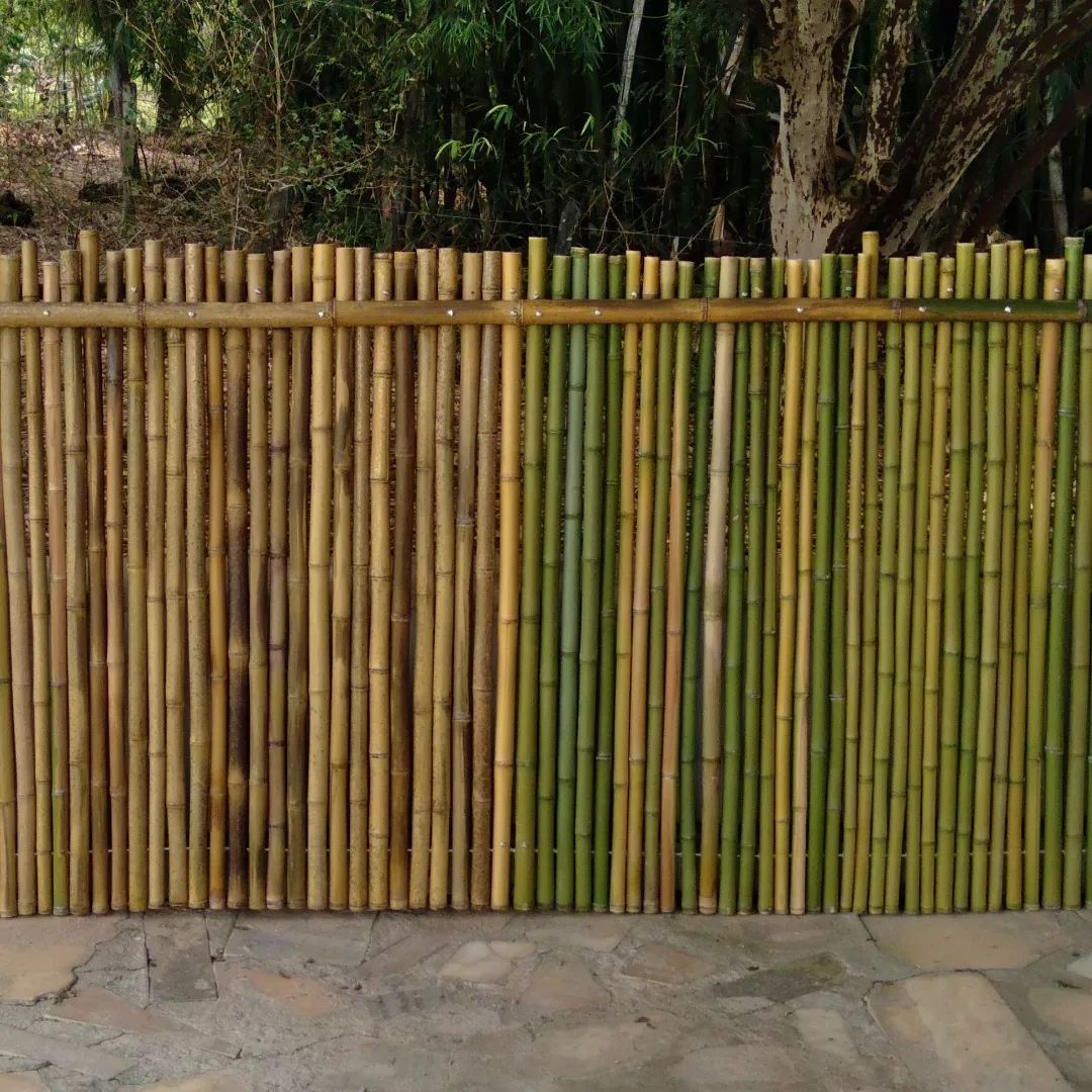 Modern biocompostable eco-friendly fence panels wholesale fencing panel cheap price bamboo natural rolled fences