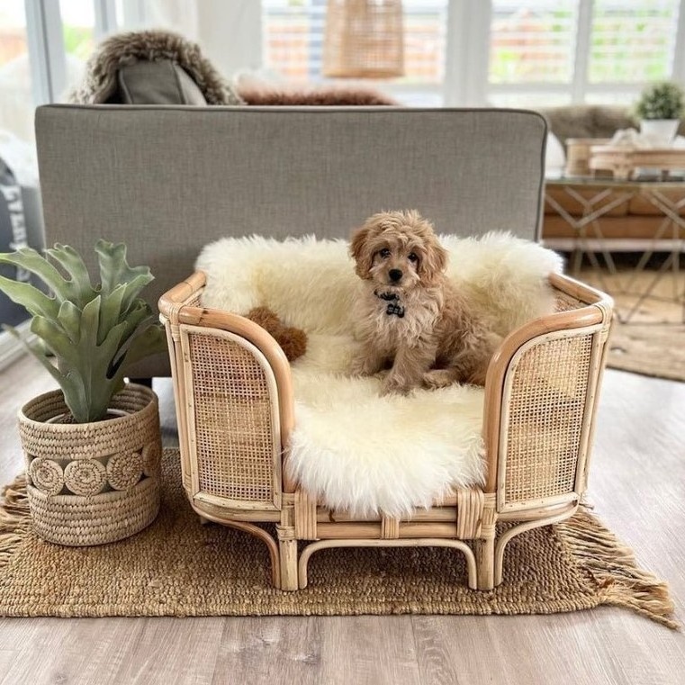 Hot trend pet cat dog bedding products rattan woven beds wicker dogs bed with sleeping cushion mattress