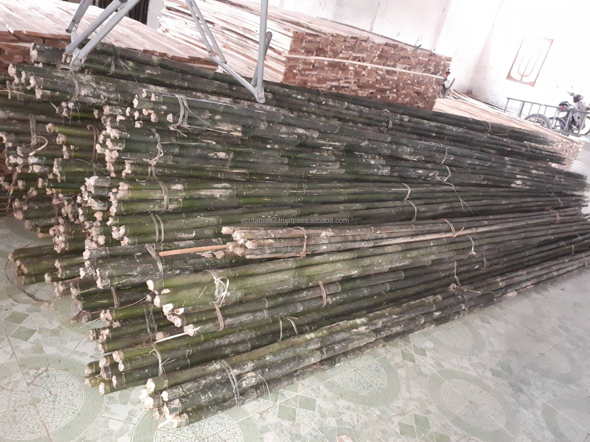 Vietnam high quality bamboo poles for construction natural gardening bamboo pole sticks cheapest price