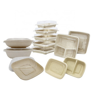 Bagasse Bamboo Pulp Compostable Take Away Disposable 100 Biodegradable Lunch Box