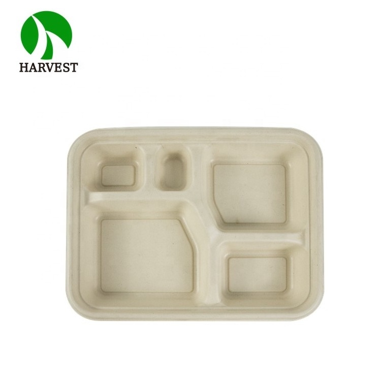 Bagasse Bamboo Pulp Compostable Take Away Disposable 100 Biodegradable Lunch Box