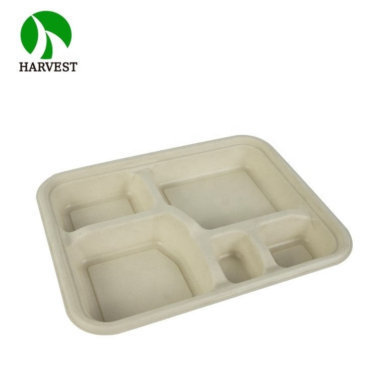 Bagasse Bamboo Pulp Compostable Take Away Disposable 100 Biodegradable Lunch Box