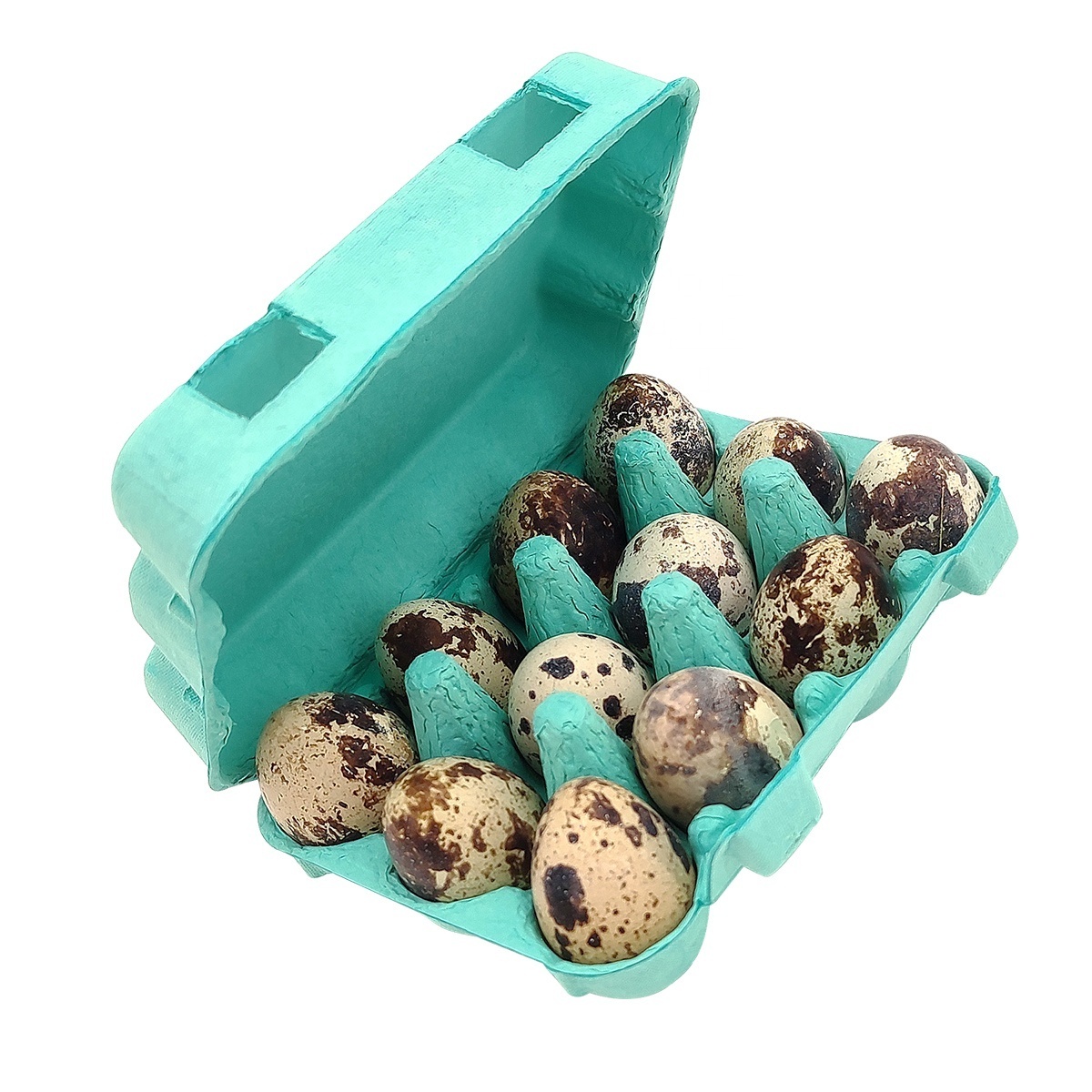 Colorful Quail Egg Cartons Quail Egg Packaging Tray - 6/10/12/18 Cells Mold Recycle Biodegradable Quality Egg Tray