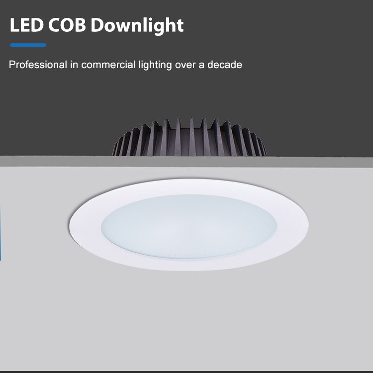 Ecolux Multiple Custom Color Temperatures Strong Practicability Dimmable LED COB Downlight Light