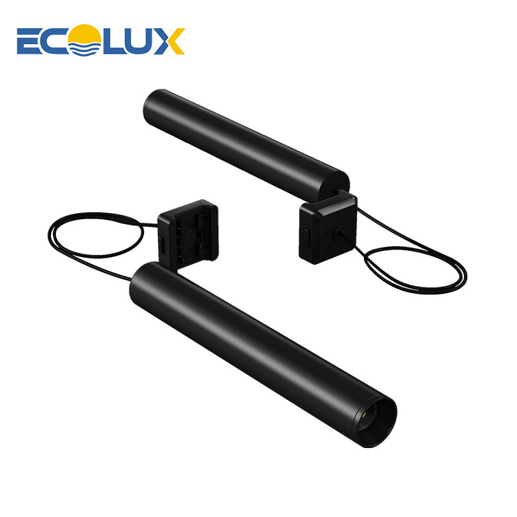 Ecolux Hot Selling Die Casting Aluminum Mini Size Black 6w 8w 48v Magnet Cob Ceiling Led Track Lights