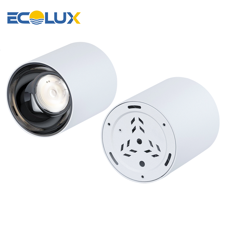 Ecolux Surface Mounted 10W 20w 30w Ip54 Ceiling Mount Downlight round die-casting aluminum COB led surface mounted downlight