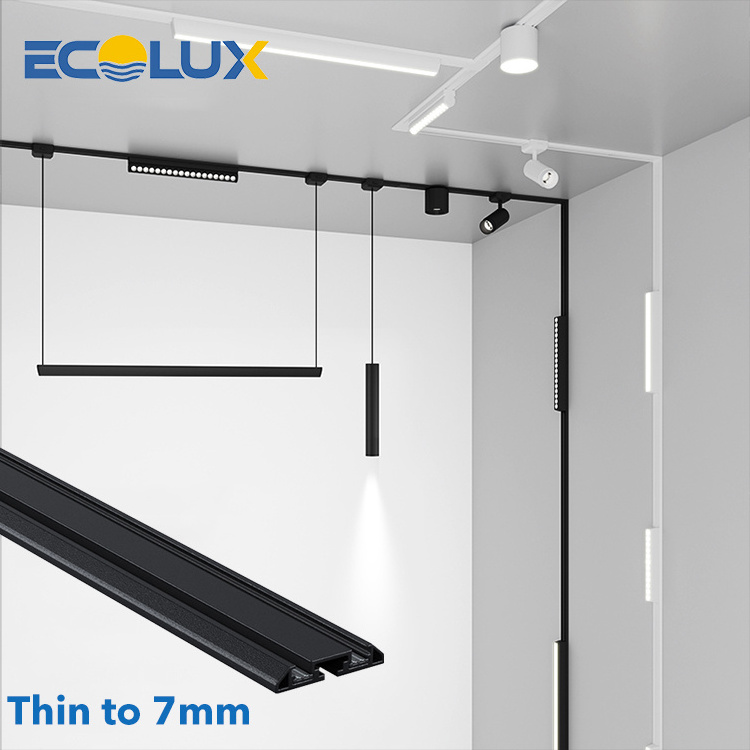 Ecolux Hot Selling Die Casting Aluminum Mini Size Black 6w 8w 48v Magnet Cob Ceiling Led Track Lights