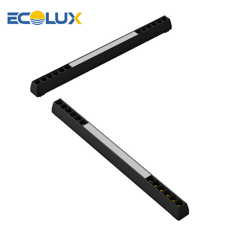 Ecolux Hot Selling Die Casting Aluminum Mini Size Black 6w 8w 48v Magnet Cob Ceiling Led Track Lights