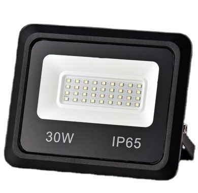 30W Pathfinder Tuya Smart Flood light