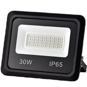 30W Pathfinder Tuya Smart Flood light