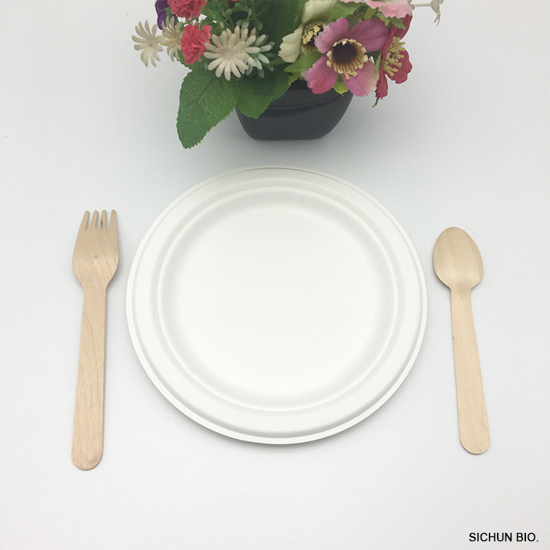 Disposable Sugarcane Bagasse Dinner Paper Plates 6 7 9 10 Inch Biodegradable Food Plates for Party